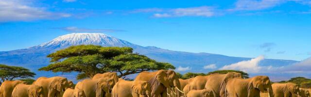 Tänased reisileiud: eksootiline Tansaania vaid 365 euro kaugusel