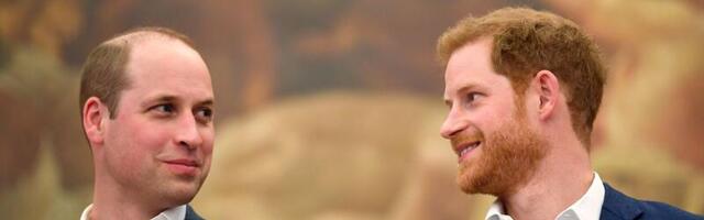 Harryl ja Williamil on vend ja õde, kellest eriti ei räägita: kes nad on?