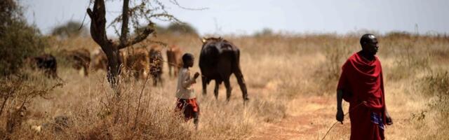 WHO pandeemialeping allutab inimesed globaalsele jälgimissüsteemile