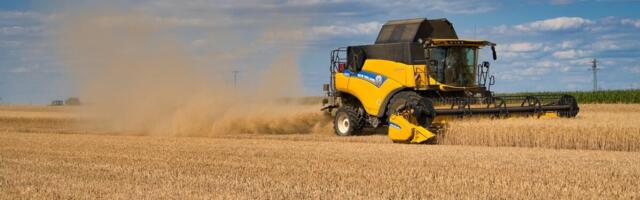 2025. aasta saak: teraviljad kosuvad, valgukultuurid üllatavad