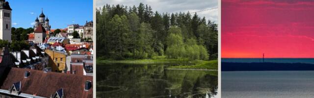 Dawid Wiktor: välismaa sisuloojatele maksmine tooks Eestile kuulsust ja rikkust