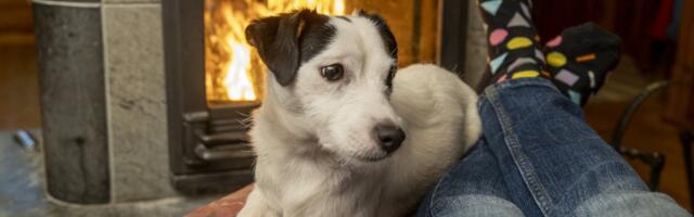 GRAAFIKUD | Euroopa elektri- ja gaasihinnad_ kus maksab energia kõige rohkem?