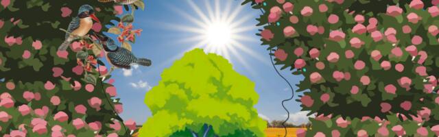 Mida sa näed esimesena? See lihtne test annab vihjeid sinu alateadvuse ja iseloomu kohta