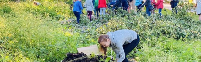 PADISE KLOOSTRI MUNKADE POOLT RAJATUD TARBEAEDA RAJATAKSE KOGUKONDLIK ÜRDISPIRAAL