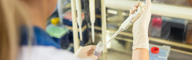 Hispaania referentlaboratooriumi seakatku analüüsitulemused kinnitavad LABRISe töö usaldusväärsust