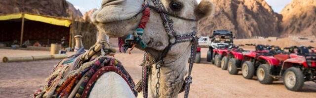 «Не позволяйте себя запугать». Египетские гиды используют новые уловки, чтобы вводить туристов в заблуждение