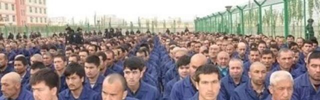 Hiina on rajanud ühe kaasaja suurima genotsiidimasina. Eesti keeles ilmus raamat Puna-Hiina reaalsusest