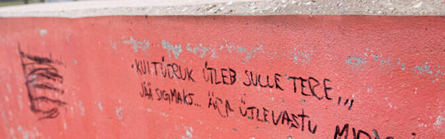 Uuring: toksiline maskuliinsus võib käia käsikäes ilmajäetusega