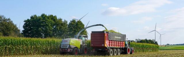 Mükotoksiinide riskid Euroopas: põud, piirkondlikud kontrastid ja söötade ristsaastumine