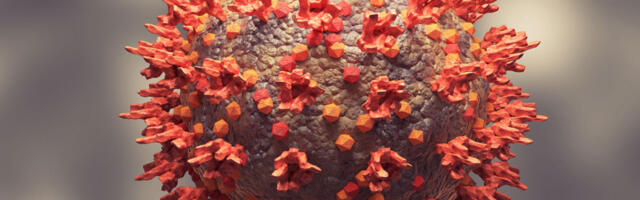 Terviseamet: Koroonaviiruse uus omikrontüvi levib nüüd Eesti-siseselt