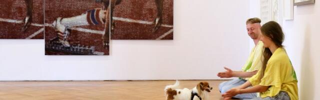 ERSO HALLis, kirjandus tänaval, lemmikloomad Kadrioru pargis – Müürilehe kultuurikalender septembris