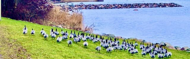 KAAREL ZILMER Jõulud Tammneemes