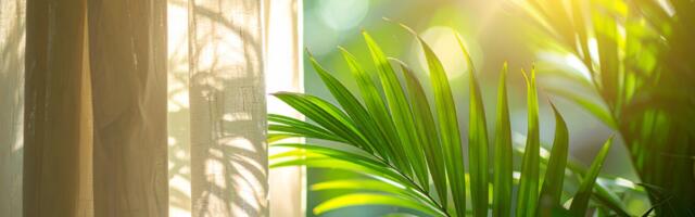 Feng Shui järgi algab küllus akendest: 5 lihtsat nippi rahaenergia parandamiseks