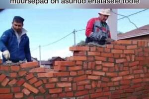 Kaugõppe kujutamine laustaudimeemides: huumor kui toimetulekuviis ja enesekaitsestrateegia