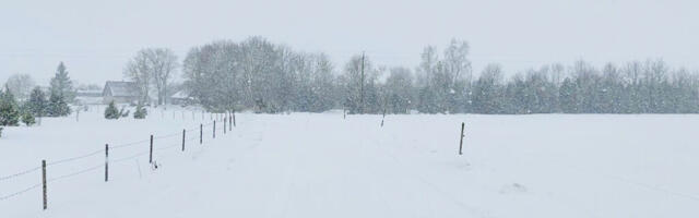 Ilm 14. märts–17. märts: on kevadelootust