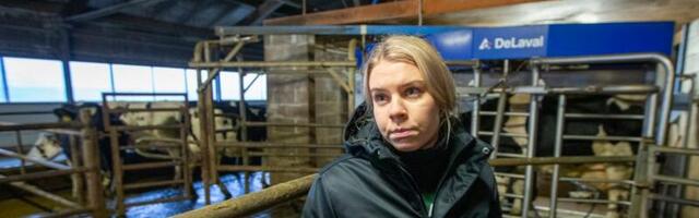 IDA-VIRU HOMME ⟩ Eliise Ingel Pungas jätkab vanemate elutööd, kasutades farmis uusimaid tehnoloogilisi abimehi