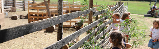 PTA: Riskihinnangu põhjal on Eestis põllumajandusloomade näituste ja muude suveürituste korraldamisel risk suu- ja sõrataudi levikuks väike