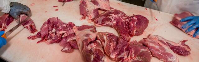 Hiina kehtestab ELi sealihale ajutised tollid