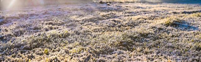 ILMATEADE | Algas külmema õhu sissevool, temperatuur läheb miinusesse