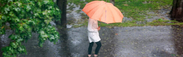 Nädal lõppeb vihmasajuga