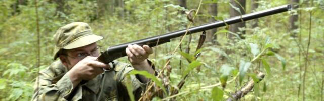 KIK avas metsanduse programmi taotlusvooru