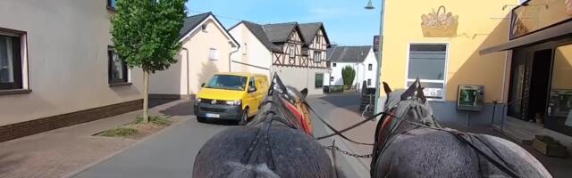 Reporter: Kütusehinnad võtavad hingetuks? Vaheta auto hobuse vastu ja säästa raha