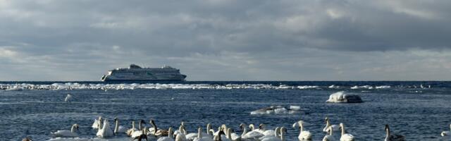 Tiit Aunaste NÄDALA FOTO
