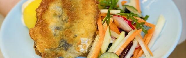 Hiiumaa haridusasutustes valitses räimepalavik: taldrikutelt kadus üle saja kilo hõbedast silku