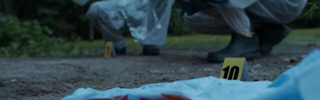 Reporter: Seedehäire viis kurjategijate tabamiseni