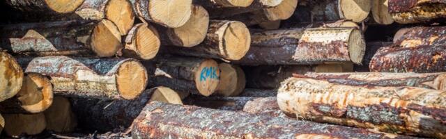 Läti puidutööstuse areng takerdub madala lisandväärtusega eksporti
