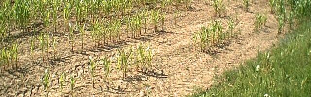 Maa kliima sõltub mullast