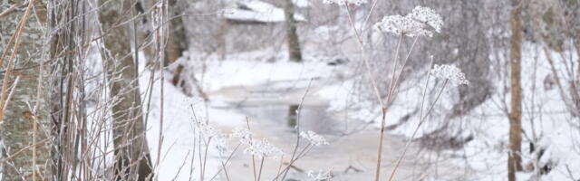AHTO ILMAJUTUD | Krõbe külm jätkub