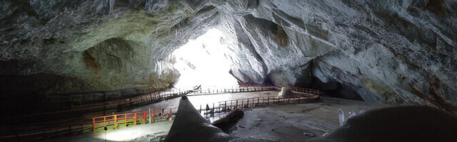 Ligi 5000-aastane bakter tõrjus kümmet moodsat antibiootikumi