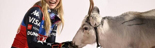 Shiffrin võitis üheksandat korda Levil slaalomi