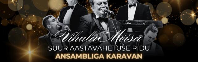 Veeda vana aasta õhtu koos Vihula Mõisaga!