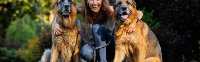 Lemmikut vaevab kõhulahtisus: kas kana ja riis on ikka parim lahendus taastumiseks?