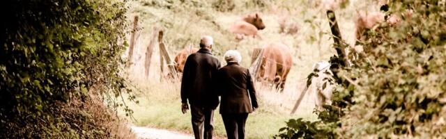 Demograafia lööb valusalt: Ida-Virumaa kaotab kümnendiga iga kolmanda töötaja