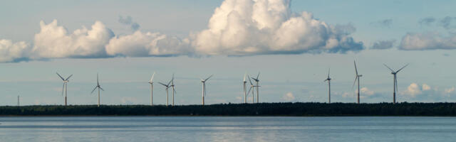 Eestlaste talupojamõistusest on järel ainult räbalad