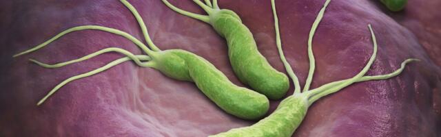 ANALÜÜS: Helikobakteri infektsioon võib soodustada südame-veresoonkonna haiguste teket