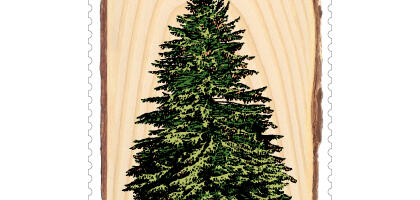 „Eesti metsapuude“ postmargisarjas ilmub harilikule kuusele pühendatud mark
