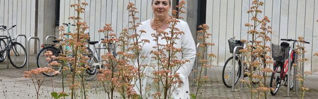 „Vabakutseliste huvikaitse on lihtsalt üks väga suur auk, mis vajab siiani kinni nõelumist.“