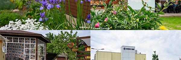 Названы самые красивые дома Нарвы 2025 года