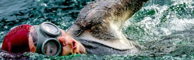 KINOFILMIDE EDETABEL | Kuidas läheb Saaremaal filmitud „Rootsi torpeedol“?