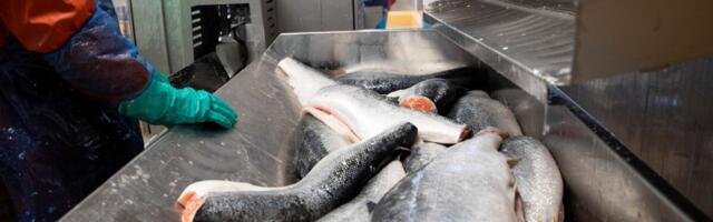 Ringkonnakohus: M.V.Wooli tegevuse peatamine oli õigustatud