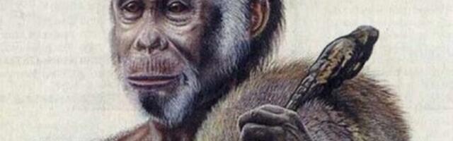 Uuring: Florese kääbikud surid välja ilmselt pika põua tõttu