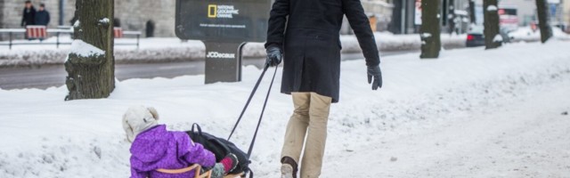 KOLUMN | Janek Mäggi: ühe vanemaga lastel on lähitulevikus pigem vaid ema. Kas isaks olemisest saab harukordne privileeg?