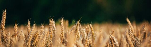 Riik toetab teadmiste ja parimate praktikate levitamist põllumajanduses