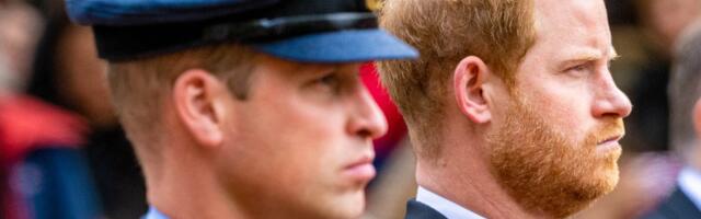 Kuninglik fotograaf meenutas, mil printside Harry ja Williami suhe lõplikult kiiva kiskus. „Vendade läbisaamine pole veel kunagi nii kehv olnud“