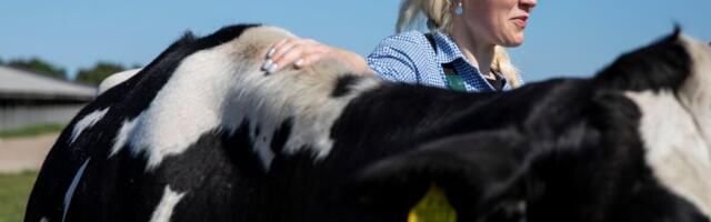 Pankrotis E-Piima tehast omav ühistu taotleb saneerimist