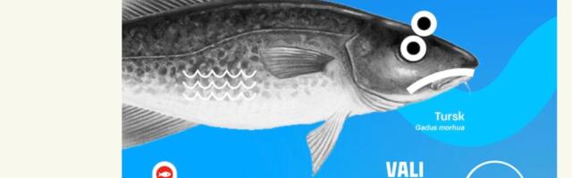 Kalafoor: Läänemerest on kadumas angerjas ja tursk